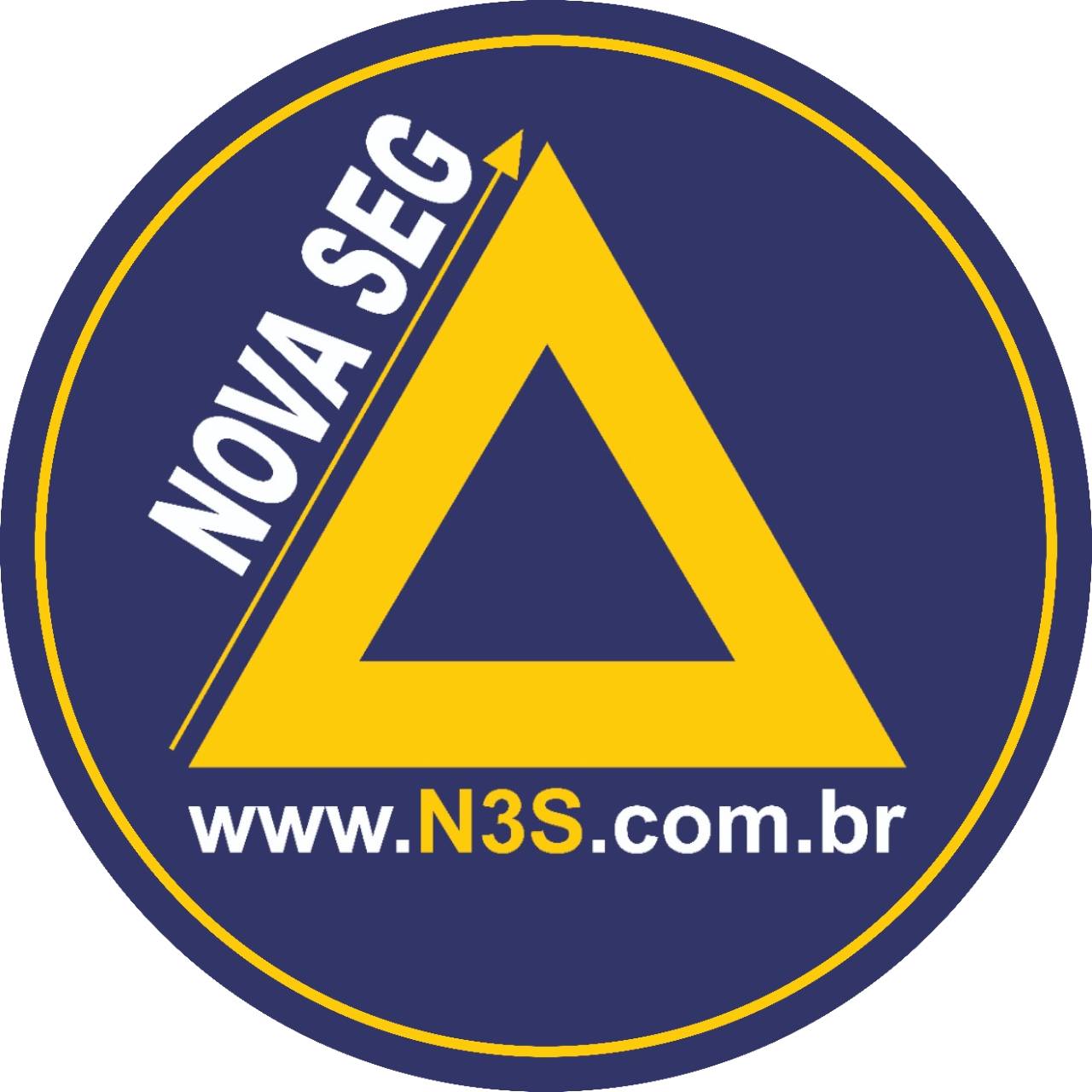 N3S
